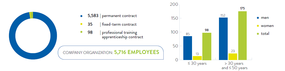 Contract types and length of the employment relationship (2019)